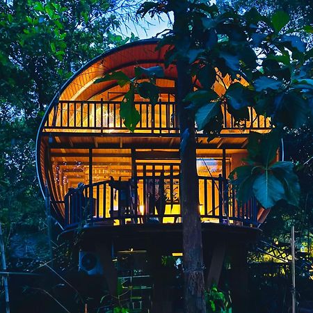 Отель Woodland Sanctuary Хабарана Экстерьер фото