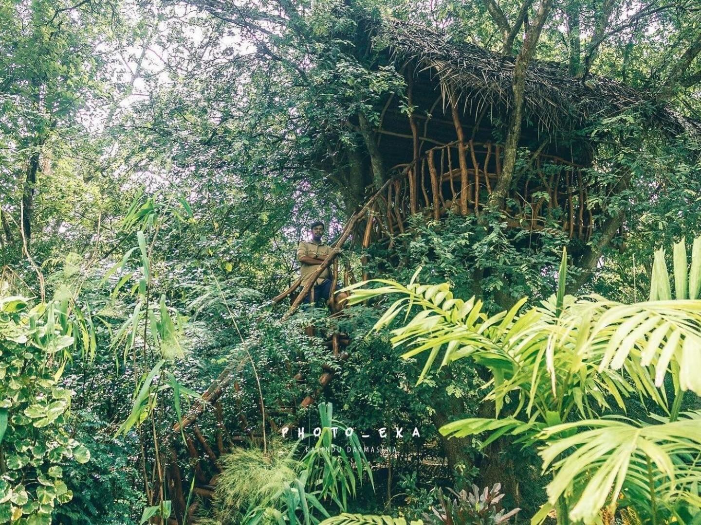 Отель Woodland Sanctuary Хабарана Экстерьер фото